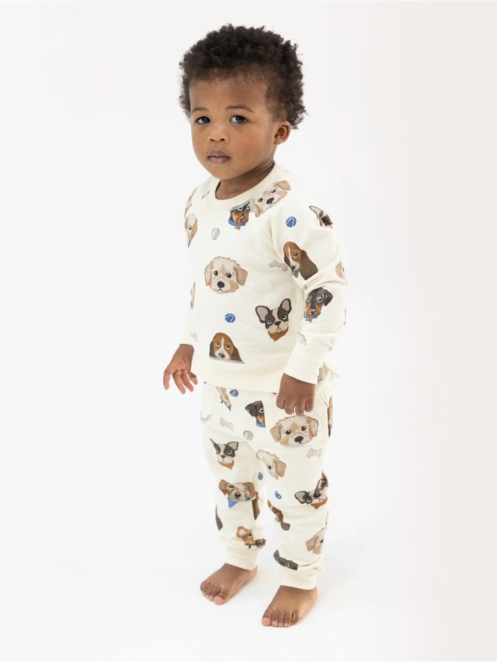 Angel Dear French Terry Vintage Puppy Faces Raglan Sweatshirt Jogger Set 4T